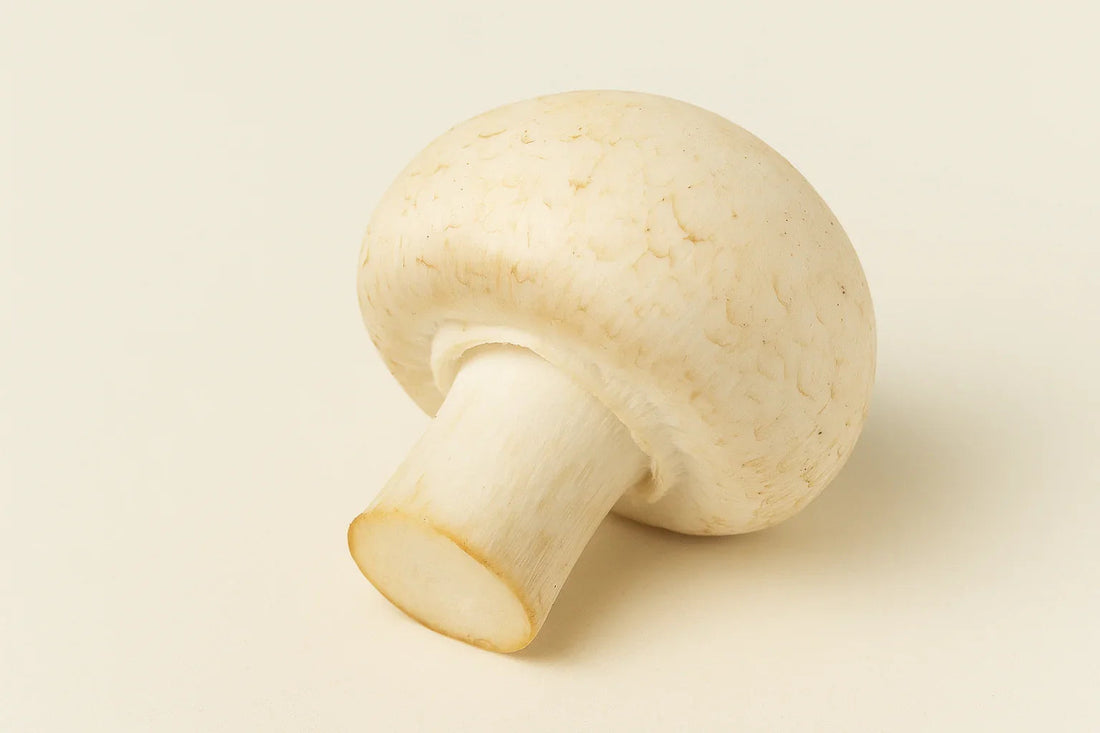 Бяла печурка – вкусната класика за здравословно хранене