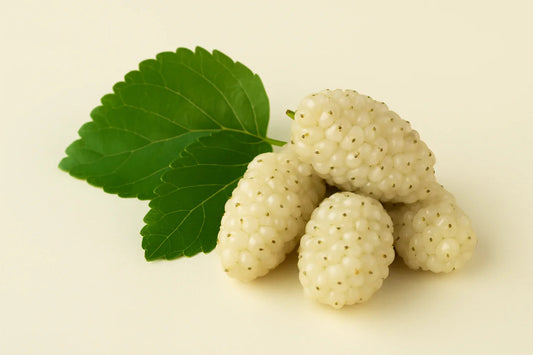 Бяла черница – сладкият съюзник за здраво сърце и баланс на кръвната захар