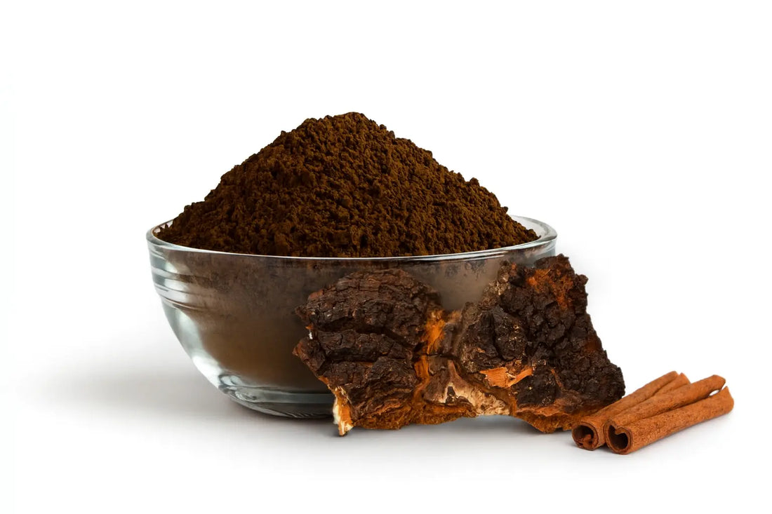 Чага – черното злато на гората за силен имунитет и жизненост