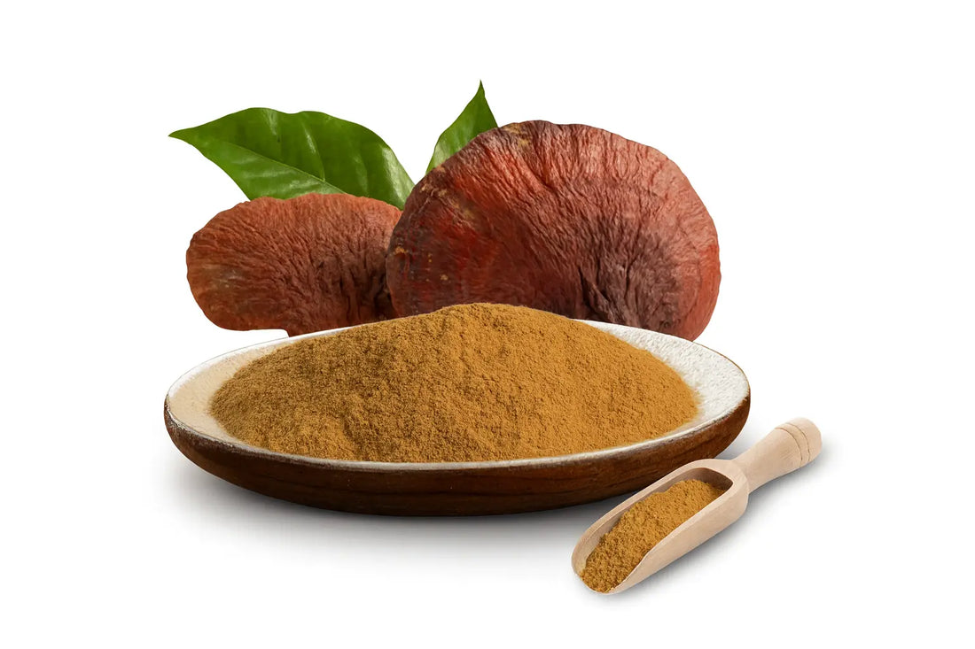 Рейши – Гъбата на дълголетието и вътрешната хармония