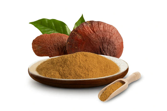 Рейши – Гъбата на дълголетието и вътрешната хармония