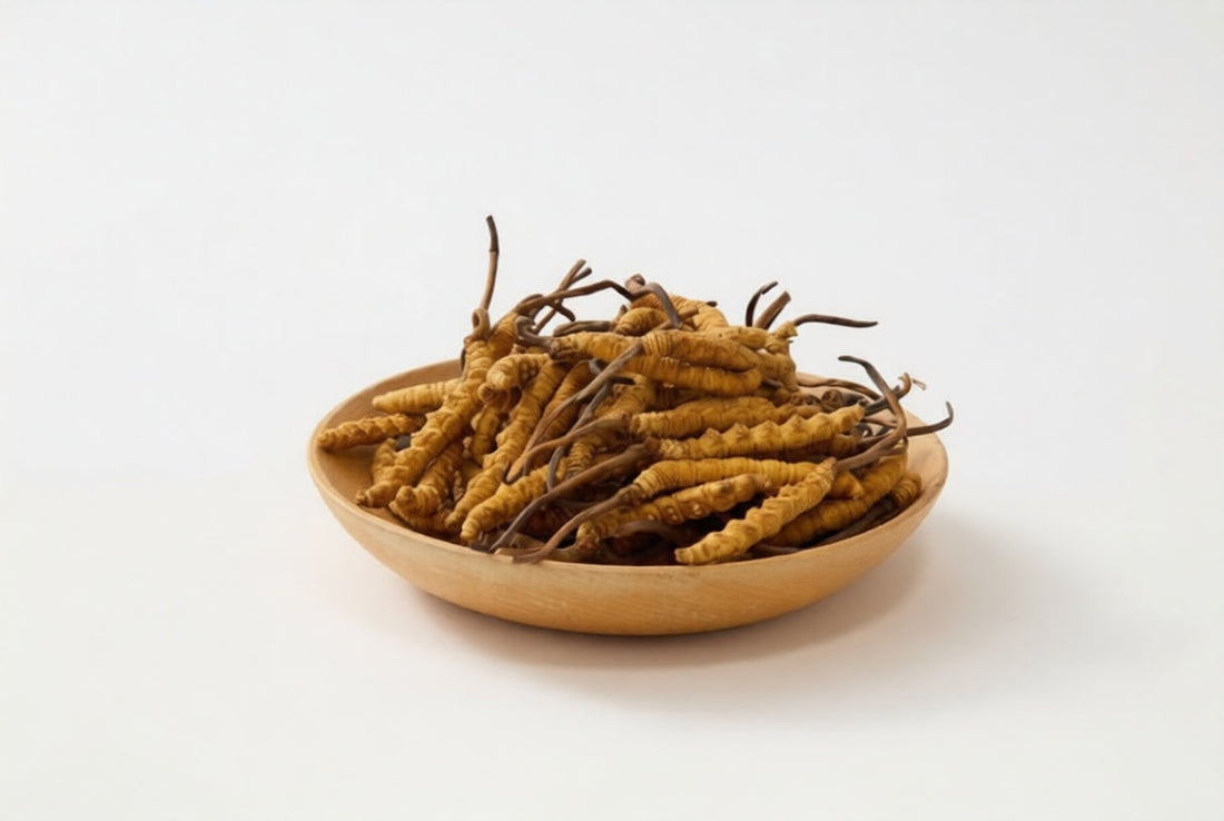 Кордицепс – енергийният съюзник за сила и издръжливост